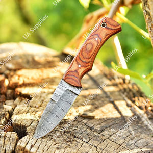 Couteau de chasse professionnel à lame fixe droite en acier Damas forgé à la main, manche intégral, pour camping en extérieur, 4,8 cm, bois Pakka - Product Image 4