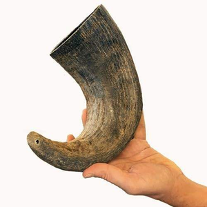 Juguetes Masticables para Perros de Cuerno de Búfalo, Resistentes y Ecológicos, Interactivos, para Uso Animal, Proveedor de India - Product Image 1