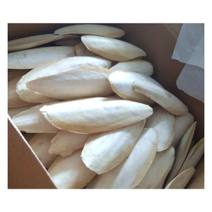 Premium Class VF Dried Cuttlefish Bone Bird <b>Cage</b> Chewing Product For <b>Budgie</b> Canary Finch Parakeet Parrot Wholesale Supply - Product Image 1