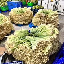 น้ำมันหอมระเหยตะไคร้หอมออร์แกนิคพรีเมียม เวียดนาม |   คุณภาพมาตรฐานสากล - Product Image 4