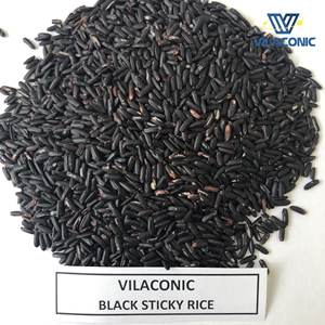 Arroz negro glutinoso/pegajoso de Vietnam fabricante vilaconic arroz saludable de alta calidad para exportación Whatsapp + 84 969 732 947 - Product Image 5