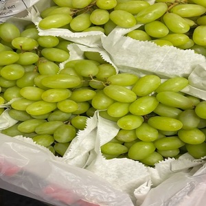 Uvas Verdes Naturales Frescas con Sabor Jugoso, Bocados Crujientes y Apariencia Premium para Supermercados, Tiendas de Comestibles y Comerciantes - Product Image 2