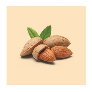 Amandes / Amandes brutes / Amandes décortiquées de qualité supérieure - Product Image 6