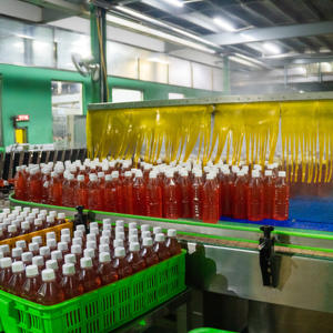 Jus d'Aloe Vera Premium Bio Faible en Gras avec Pulpe Fraîche 500ml Bouteille PET OEM Marque Privée pour Rafraîchissement Quotidien - Product Image 5