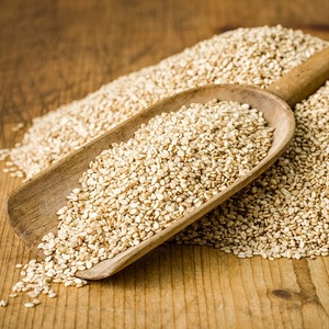 Graines de sésame blanches offrant une qualité propre, une saveur riche et une utilisation polyvalente pour les restaurants, les producteurs alimentaires et les cuisines domestiques - Product Image 4