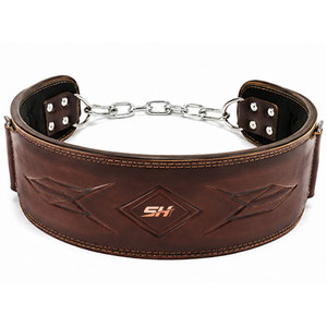 Ceinture de musculation en cuir premium, robuste, avec chaîne en acier pour tractions, dips et entraînement de force - Product Image 1