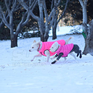 Chaqueta Moderna para Mascotas, Impermeable y Ecológica, con Tela de Poliéster y Algodón, Suave y Cálida para Invierno, Disponible en Todos los Colores - Product Image 5