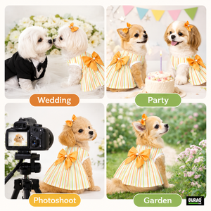 Vêtements pour chats et chiens OEM ODM avec logo personnalisé, vêtements pour animaux de compagnie tendance pour chats et chiens, fabricant direct - Product Image 5