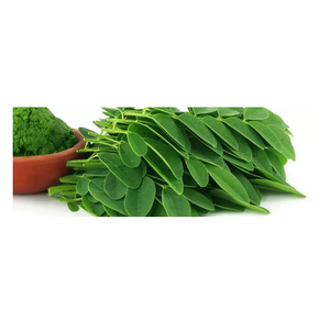 Feuilles de Moringa entières séchées, produit naturel à base de plantes pour mélanges culinaires et usage industriel - Product Image 2