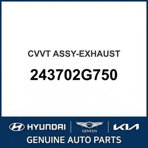 Nouveaux tuyaux et embouts d'échappement G70 243702G750 - Product Image 1
