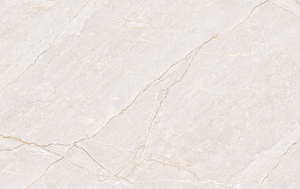 กระเบื้องปูพื้นและผนังพอร์ซเลนโมเดิร์นฟีนิกซ์บิอันโก้ ผิวด้าน ทนกรด สำหรับตกแต่งภายใน วิลล่า โรงพยาบาล ขนาด 60x120 ซม. - Product Image 5