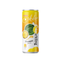 Sprankelende kokos-ananas smaak blikjes groothandel koolzuurhoudende dranken frisdrank drank OEM/ODM