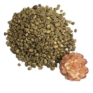 No #1 Robusta Grains de Café Vert Haute Qualité Import Export Direct Vietnam Meilleur Prix Sac Entièrement Certifié + 84 352542206 - Product Image 6