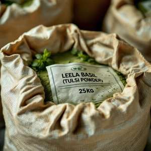 Polvo de Hoja de Tulsi (Basil) |   Ocimum Sanctum |   Polvo Herbal para Desintoxicación y Limpieza - Product Image 3