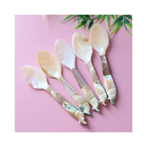 Luxury Tableware Mother Of Pearl Spoon Natural <b>Shell</b> Spoon Caviar Spoon For Gourmet Dining Vietnam Supplier - Product Image 1