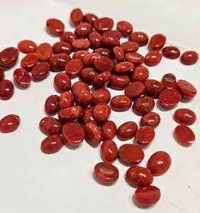 Coral rouge naturel italien de forme ovale, taille mm, qualité supérieure, pierre précieuse en vrac pour la création de bijoux - Product Image 3