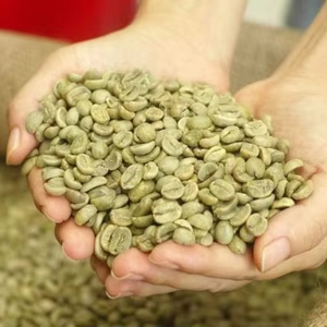 Vietnam High Quality Specialty Robusta Green <b>Coffee</b> <b>Beans</b> Size 18, USDA Organic Certification, Wholesale Direct Export - Product Image 1