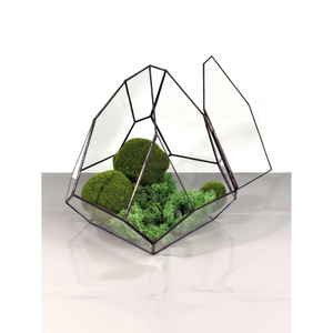 Terrario de latón negro mate dorado con espejo de cristal, hecho a mano, con impresión UV, para actividades festivas, navideñas y religiosas, a bajo precio. - Product Image 5