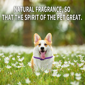 Collier apaisant réglable anti-anxiété chien chat huiles essentielles non toxiques de marque privée pour animaux de compagnie réduire le stress - Product Image 5