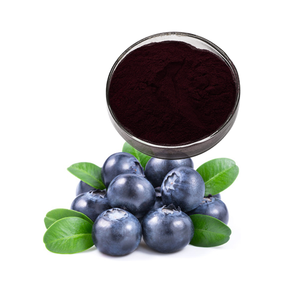 Заводская поставка натуральный антоциановый порошок высокого качества натуральный экстракт черники - Product Image 2