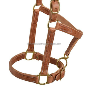 Cabestro de Cuero Acolchado de Primera Calidad, Popular, Lujoso, Elegante, Perfecto, Ajustable y Moderno - Product Image 6