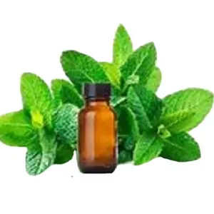 Factory Price Hot Selling Widely Used 100% Pure and Natural Spearmint Essential Oil for Bulk Purchase now in India