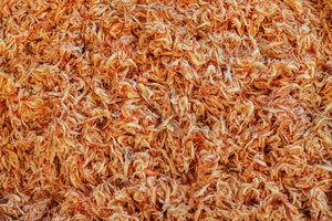 กุ้งอบแห้งจากเวียดนาม-ปริมาณมากราคาดี - Product Image 5