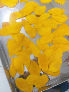 Mangues séchées de haute qualité 99 Gold Data Mina, en vrac, pour l'exportation, tranches sucrées 100% naturelles, origine Vietnam, pour la vente au détail et la transformation alimentaire - Product Image 3