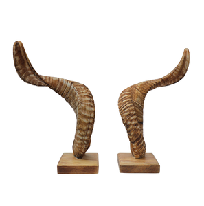 100%Natural Buffalo Horn <b>Decorative</b> Natural Large Ram Horn Shofar Polished Handcrafted Showpieces Horn <b>Decorative</b> - Product Image 1