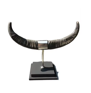 100% Natural Buffalo Horn Decorative Pairs With Metal Stand Tableware Birthday Parties <b>Decoration</b> Buffalo Horn - Product Image 1