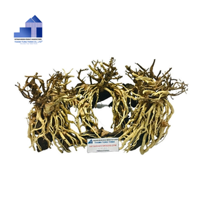 2025 producto superior ecológico manglar madera bonsái Driftwood bonsái árbol para decoraciones de acuario de Vietnam para mayoristas - Product Image 6