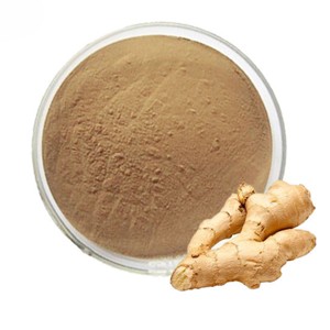 Poudre de gingembre de qualité supérieure 100% pure et naturelle, poudre de racine de Zingiber Officinale pour les applications alimentaires et de boissons - Product Image 4