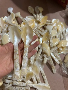 Cuillère à perle Lotus bleu Offre Spéciale 2025 Ustensile en nacre naturelle pour les amateurs de caviar et les chefs - Product Image 2