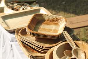 Sustainable Palm Leaf <b>Disposable</b> <b>Plates</b> Natural Areca Sheath Tableware for Restaurant or Home Use - Product Image 2