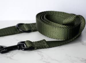 Laisse pour chien en sangle de nylon verte - Product Image 2