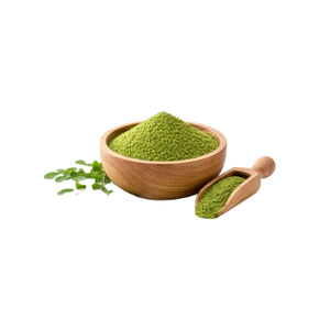 Wholesale Bulk Moringa Extract Powder Moringa Extract Powder With Best Quality - Product Image 6