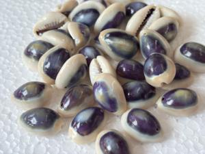 Coquillages ovales blancs naturels en vrac, coquillages de cauris éthiques pour l'artisanat, fournitures de bijoux sculptés à la main, vente en gros - Product Image 3