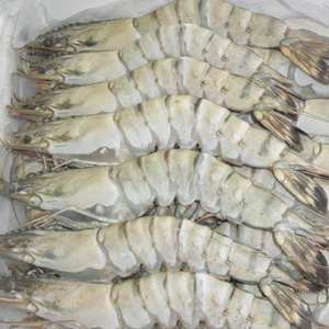 Camarones Vannamei Congelados Premium, Frescura Garantizada en Pedidos al por Mayor |   Procedente de Vietnam - Product Image 1