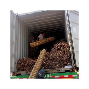 VALUE FOR MONEY <b>Bamboo</b> Pole for Crop Support Vine Staking <b>Fencing</b> Scaffolding Projects Handicrafts - Product Image 3