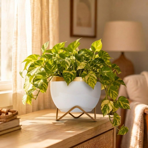 Macetas de Lujo Blancas y Doradas con Soporte Metálico, Macetas Decorativas para Plantas de Interior, Sala de Estar, Oficina - Product Image 3