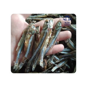 พร้อมส่ง ปลาแอนโชวี่แห้ง แปรรูปอย่างถูกสุขอนามัย รสชาติเข้มข้น เหมาะสำหรับทำอาหารและเป็นของว่าง ช่วยเพิ่มรสชาติและความมีพลังให้กับอาหาร - Product Image 1