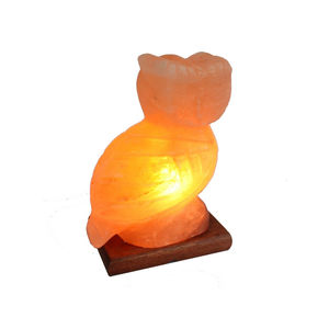 Lámpara de Sal Natural Tallada a Mano con Forma de Animal, Lámpara de Noche Decorativa Ecológica de Cristal para el Hogar y el Dormitorio - Product Image 6