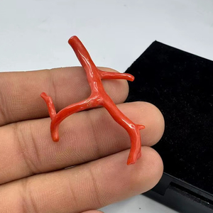 ลูกปัดปะการังแดงอิตาลีรูปทรงกิ่งไม้ พลอยดิบสำหรับทำเครื่องประดับ ปะการังธรรมชาติรูปทรงต้นไม้ พลอยคุณภาพสูง - Product Image 1