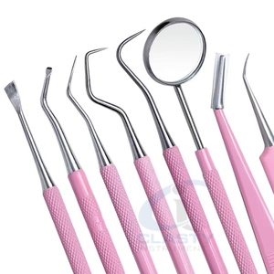 Ensemble d'instruments dentaires en acier inoxydable rose, kit d'hygiène dentaire, outils de chirurgie buccale manuels, classe I - Product Image 4