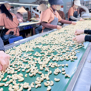 Cashew <b>Kernels</b> SANTIGO Cashew <b>Nuts</b> Custom Service Available Kaju In Bulk <b>Nuts</b> <b>Kernels</b> - Product Image 2