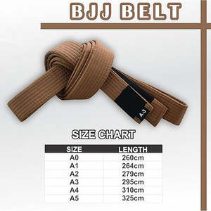 Ceinture de BJJ personnalisée 100% coton tissage perlé, ceinture de Jiu Jitsu, vente en gros, fournisseur OEM de ceintures de rangement pour arts martiaux - Product Image 3