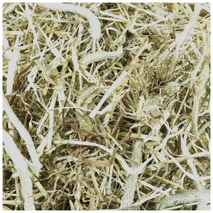 Heno de Timothy, Heno de Pasto Seco Fresco, Gran Cantidad, Distribuidor Mayorista a Nivel Mundial - Product Image 2