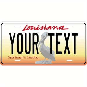 CIFbuy Placa de Matrícula Metálica Personalizada con el Espíritu de la Aventura de Wyoming, Decoración, Servicio de Recogida Disponible en TikTok - Product Image 1