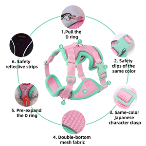 Harnais Pour Chien acolchado Reversible diseñador personalizado lujo perro Correa arnés perro plomo y arnés para mascotas conjunto - Product Image 3