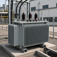 Transformateur immergé dans l'huile hermétique triphasé 250 kVA 11 kV avec sortie 400 V pour la distribution d'énergie industrielle
